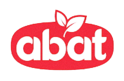 Partner 5